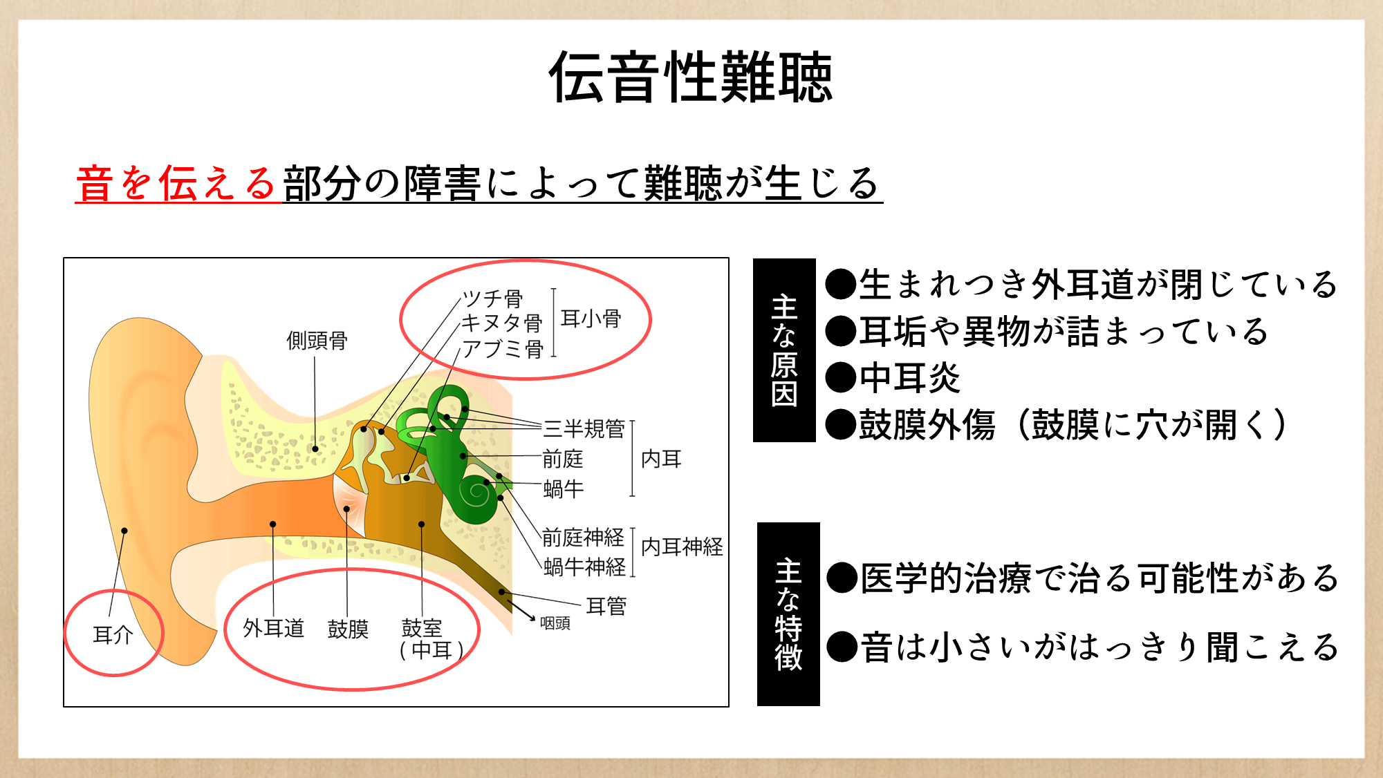 聴力検査の結果からわかること 見方を理解しよう きこえライフ