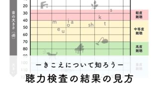 純音聴力検査 セール 骨導閾値 ヘッドフォン